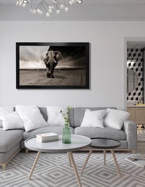 Cuadro decorativo Pixelarte elefante
