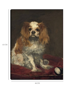 Cuadro decorativo Un rey charles spaniel técnica mixta Cuadros Jr Animales Domésticos
