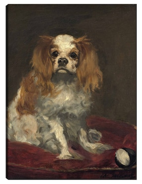 Cuadro decorativo Un rey charles spaniel técnica mixta Cuadros Jr Animales Domésticos