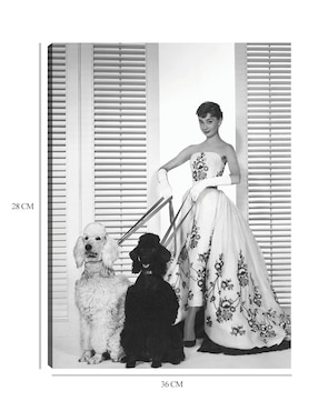 Cuadro decorativo Audrey Hepburn en Sabrina (1954) técnica mixta Cuadros Jr Retratos