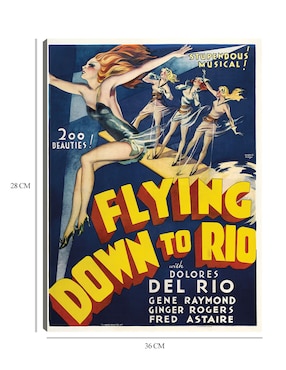 Cuadro decorativo Volando hacia Río [restaurado] técnica mixta Cuadros Jr Publicidad