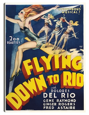 Cuadro decorativo Volando hacia Río [restaurado] técnica mixta Cuadros Jr Publicidad