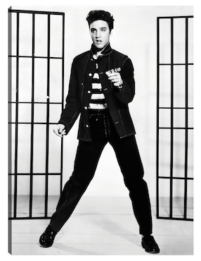 Cuadro decorativo Elvis Presley en Jailhouse Rock técnica mixta Cuadros Jr Música