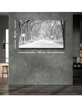 Cuadro decorativo Canvas Art Central park nyc con barniz a registro