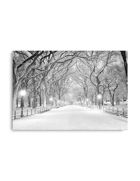 Cuadro decorativo Canvas Art Central park nyc con barniz a registro
