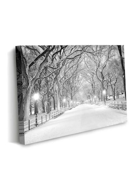 Cuadro decorativo Canvas Art Central park nyc con barniz a registro