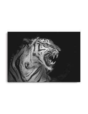 Cuadro Decorativo Canvas Art Fotografía De Tigre Con Barniz A Registro