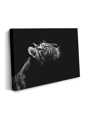 Cuadro decorativo Canvas Art Perfil de tigre con barniz a registro