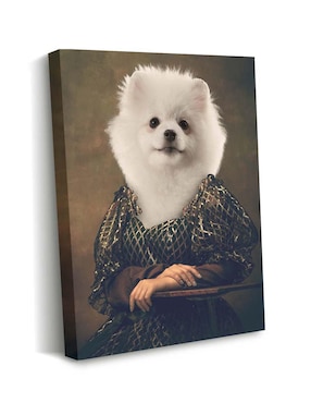 Cuadro decorativo Canvas Art La simpática renacentita con barniz a registro