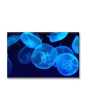 Cuadro decorativo Industria Grafica Ciento 23 Medusas