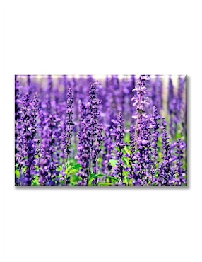 Cuadro decorativo Industria Grafica Ciento 23 Lavanda