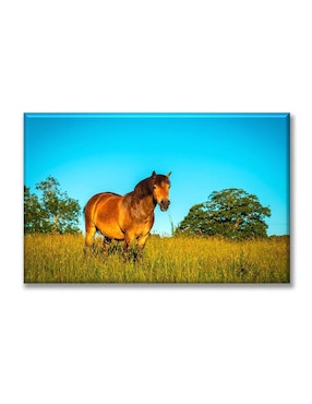 Cuadro decorativo Industria Grafica Ciento 23 Pixtreats caballo café