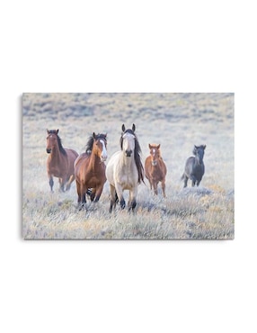 Cuadro Decorativo Canvas Art Pequeña Manada De Caballos