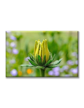 Cuadro decorativo Industria Grafica Ciento 23 Floreciendo