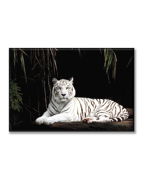 Cuadro decorativo Industria Grafica Ciento 23 Tigre siberiano