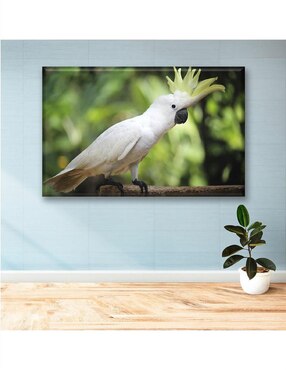 Cuadro decorativo Industria Grafica Ciento 23 Cacatúa