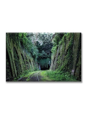Cuadro decorativo Industria Grafica Ciento 23 Carril en el bosque 2
