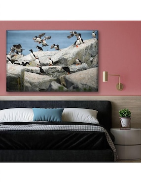 Cuadro decorativo Industria Grafica Ciento 23 Parvada de pingüinos