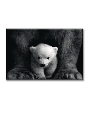 Cuadro decorativo Industria Grafica Ciento 23 Oso polar bebé