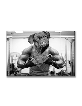 Cuadro decorativo Industria Grafica Ciento 23 Dogo gym