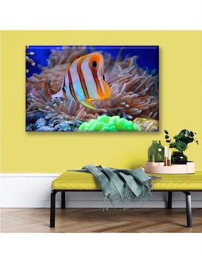 Cuadro decorativo Industria Grafica Ciento 23 Fauna coral