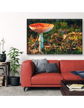 Cuadro decorativo Industria Grafica Ciento 23 Hongo matamoscas