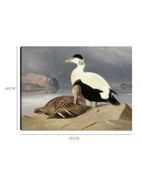 Cuadro decorativo Kaksi Haahkaa (1867) técnica mixta Cuadros Jr Aves Silvestres