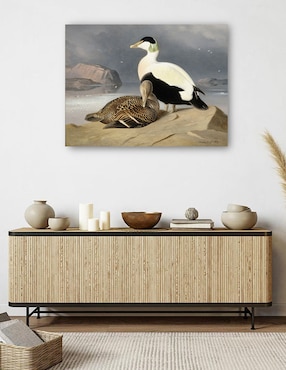 Cuadro decorativo Kaksi Haahkaa (1867) técnica mixta Cuadros Jr Aves Silvestres