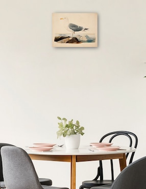 Cuadro decorativo Gaviota argéntea europea (1839) técnica mixta Cuadros Jr Aves Silvestres