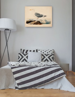 Cuadro decorativo Gaviota argéntea europea (1839) técnica mixta Cuadros Jr Aves Silvestres