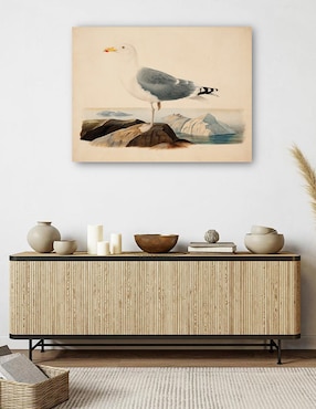 Cuadro decorativo Gaviota argéntea europea (1839) técnica mixta Cuadros Jr Aves Silvestres