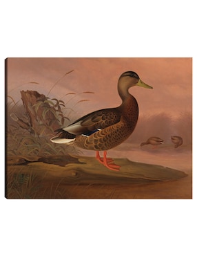 Cuadro decorativo Ánade real (1848) técnica mixta Cuadros Jr Aves Silvestres