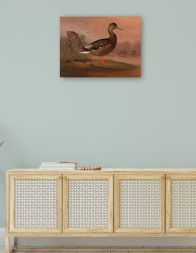 Cuadro decorativo Ánade real (1848) técnica mixta Cuadros Jr Aves Silvestres