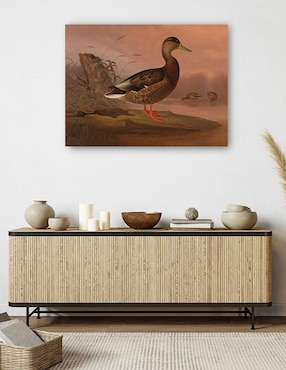 Cuadro decorativo Ánade real (1848) técnica mixta Cuadros Jr Aves Silvestres