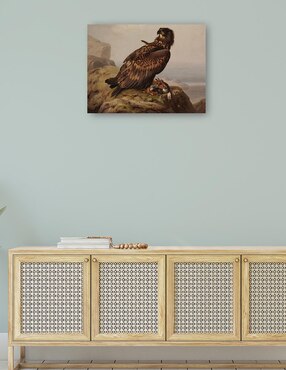 Cuadro decorativo Águila de cola blanca con su presa (1861) técnica mixta Cuadros Jr Aves Silvestres