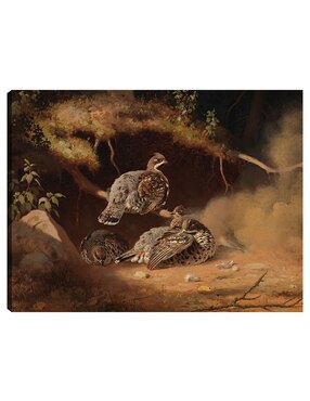 Cuadro decorativo Urogallo revolcandose en la arena (1877) técnica mixta Cuadros Jr Aves Silvestres