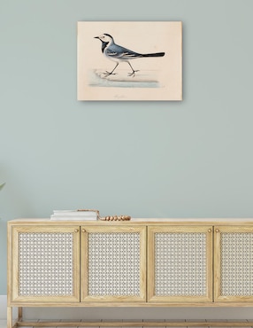 Cuadro decorativo Lavandera blanca técnica mixta Cuadros Jr Aves Silvestres