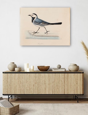 Cuadro decorativo Lavandera blanca técnica mixta Cuadros Jr Aves Silvestres
