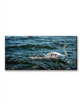 Cuadro decorativo Industria Grafica Ciento 23 Pixtreats cisnes