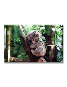 Cuadro decorativo Industria Grafica Ciento 23 koala dormido