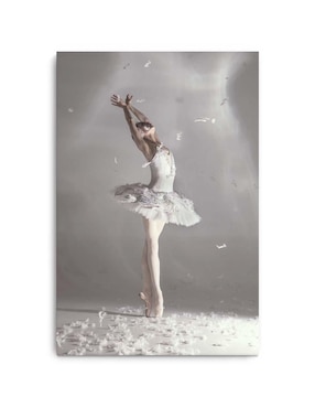 Cuadro decorativo Canvas Art Bailarina cisne blanco con plumas con barniz a registro