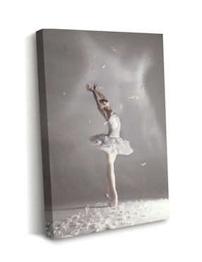 Cuadro decorativo Canvas Art Bailarina cisne blanco con plumas con barniz a registro