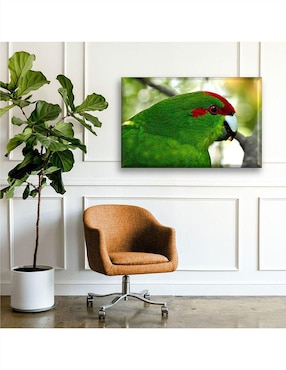 Cuadro decorativo Industria Grafica Ciento 23 Perico tropical