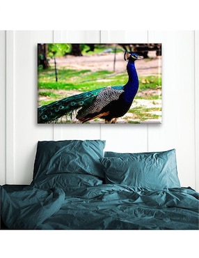 Cuadro decorativo Industria Grafica Ciento 23 pavo real