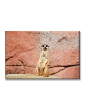 Cuadro decorativo Industria Grafica Ciento 23 suricata
