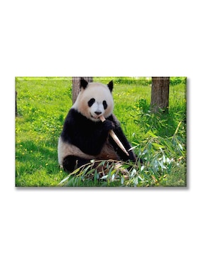 Cuadro decorativo Industria Grafica Ciento 23 Oso panda alimentándose