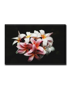 Cuadro decorativo Industria Grafica Ciento 23 Ramo con fondo negro