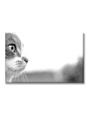 Cuadro Decorativo Industria Gráfica Ciento 23 Perfil De Gato