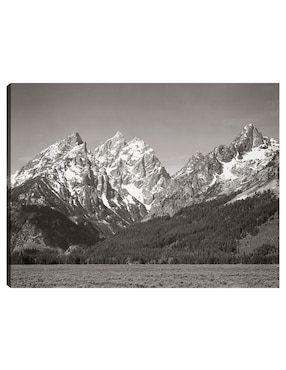 Cuadro decorativo Parque Nacional Teton, Wyoming técnica mixta Cuadros Jr Inspiración