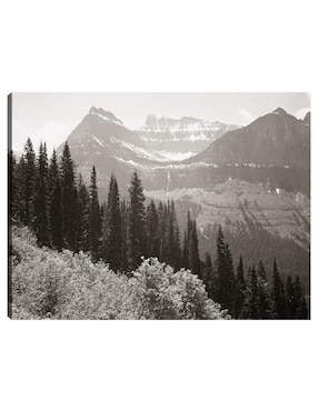 Cuadro Decorativo En El Parque Nacional Glacier -Montana Técnica Mixta Cuadros Jr Inspiración